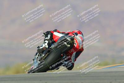 media/Jan-13-2024-SoCal Trackdays (Sat) [[9c032fe5aa]]/Turn 9 Backside (110pm)/